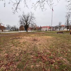 Plac Obrońców Warszawy po wycince drzew Fot. Dominik Dziecinny